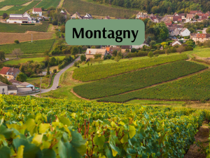 Montagny (800 x 600 px)